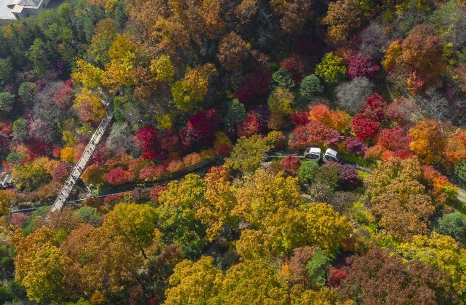 전국 단풍명소, 절정시기