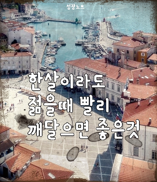 한살이라도 젊을때 빨리 깨달으면 좋은것