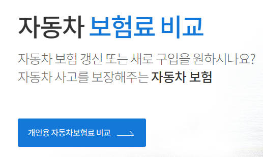 다이렉트자동차보험 비교견적 13