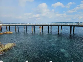 영천 가볼만한곳 베스트10 기억에 남을 멋진 명소 추천_20