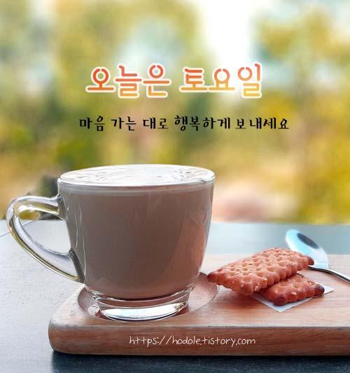 오늘은-토요일