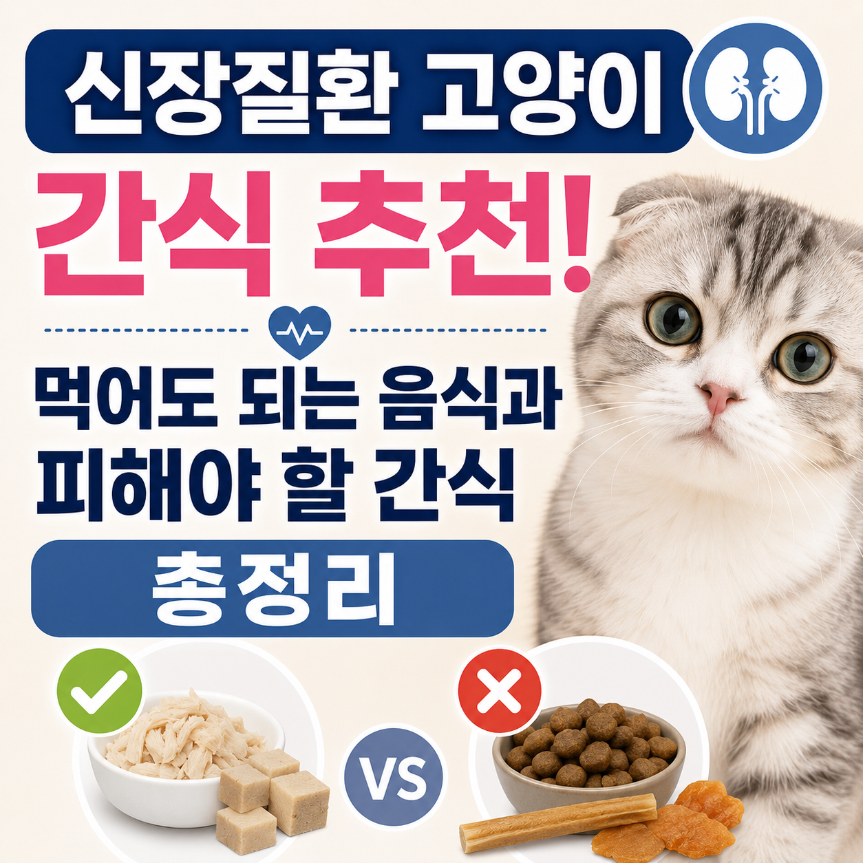 신장질환 고양이 간식