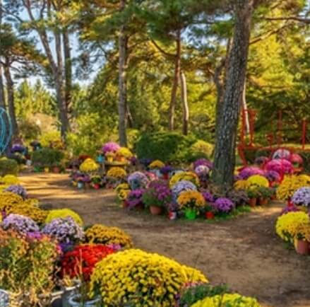 충청남도 11월 축제 일정표