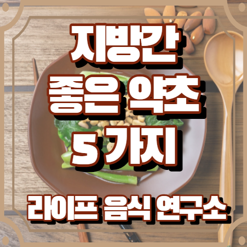 지방간에 좋은 약초 5가지