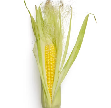 백내장에 좋은 음식 영양제 식단