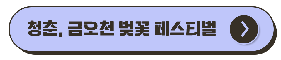 경북 축제