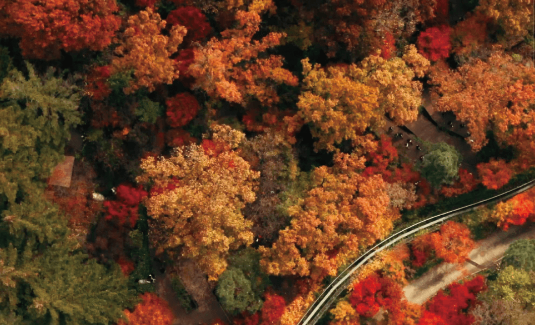 화담숲 단풍 축제