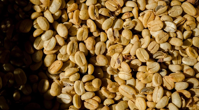 전선 배선의 기본 원리