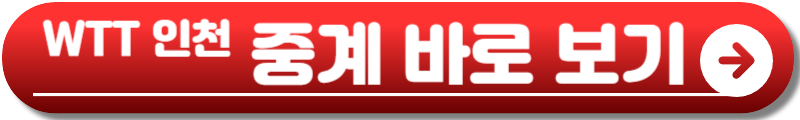 wtt인천