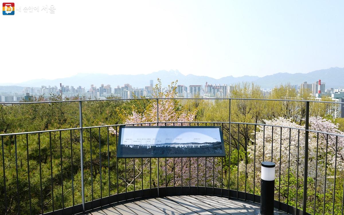 서울-불암산-철쭉제