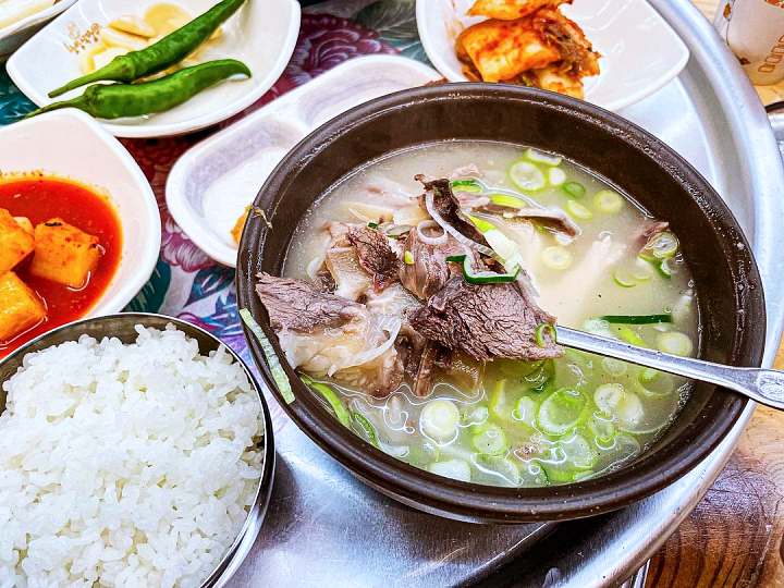영천 식당 소머리곰탕 37년 전통 노포 곰탕 수육 엄마는 슈퍼우먼 맛집 추천