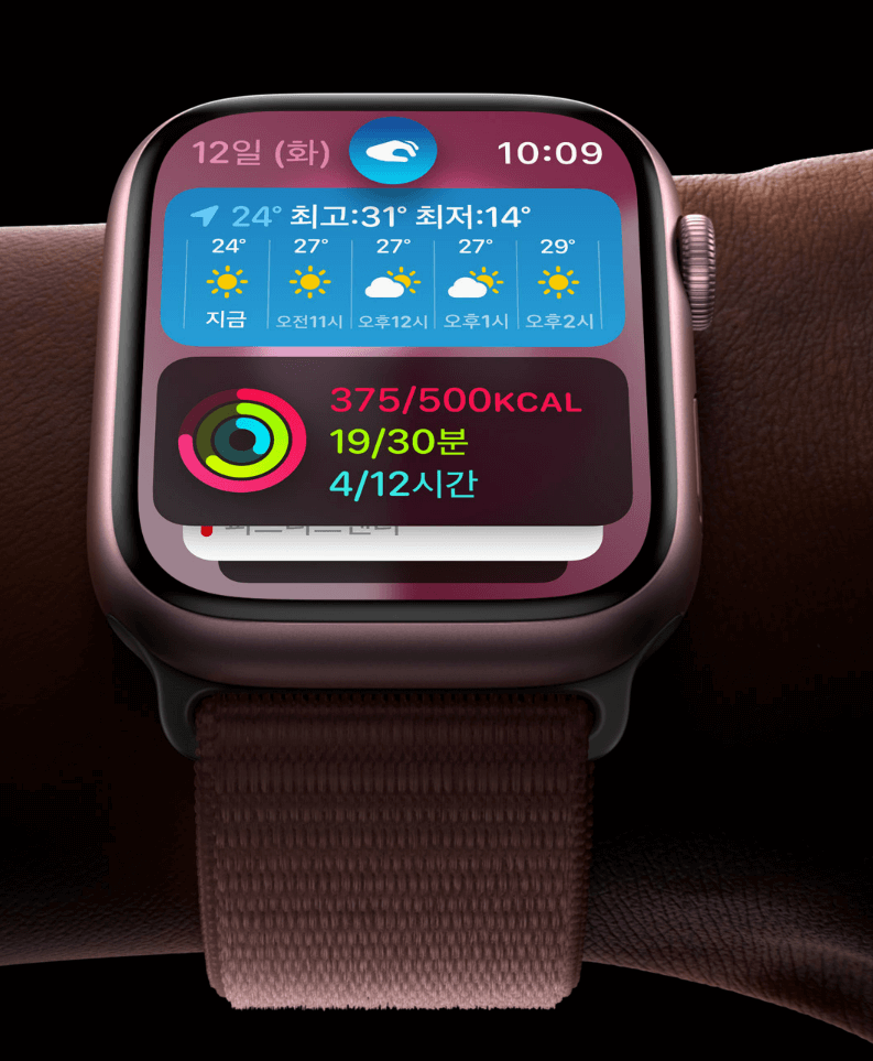 애플워치 9 출시일, 사전예약, 가격