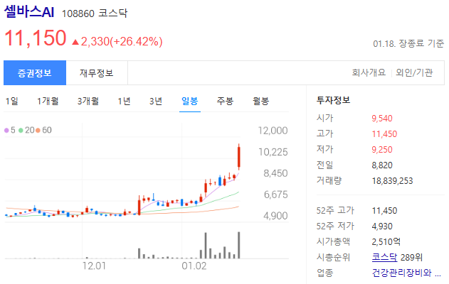 주가-일봉-셀바스AI