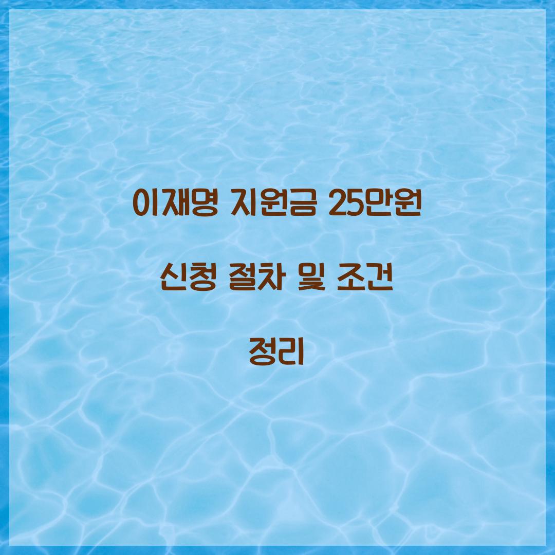 이재명 지원금 25만원