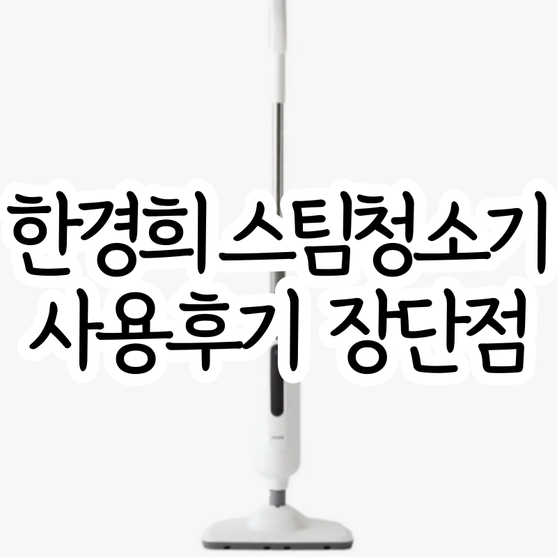한경희 스팀청소기 후기 HESM-D1000WT 장점 단점