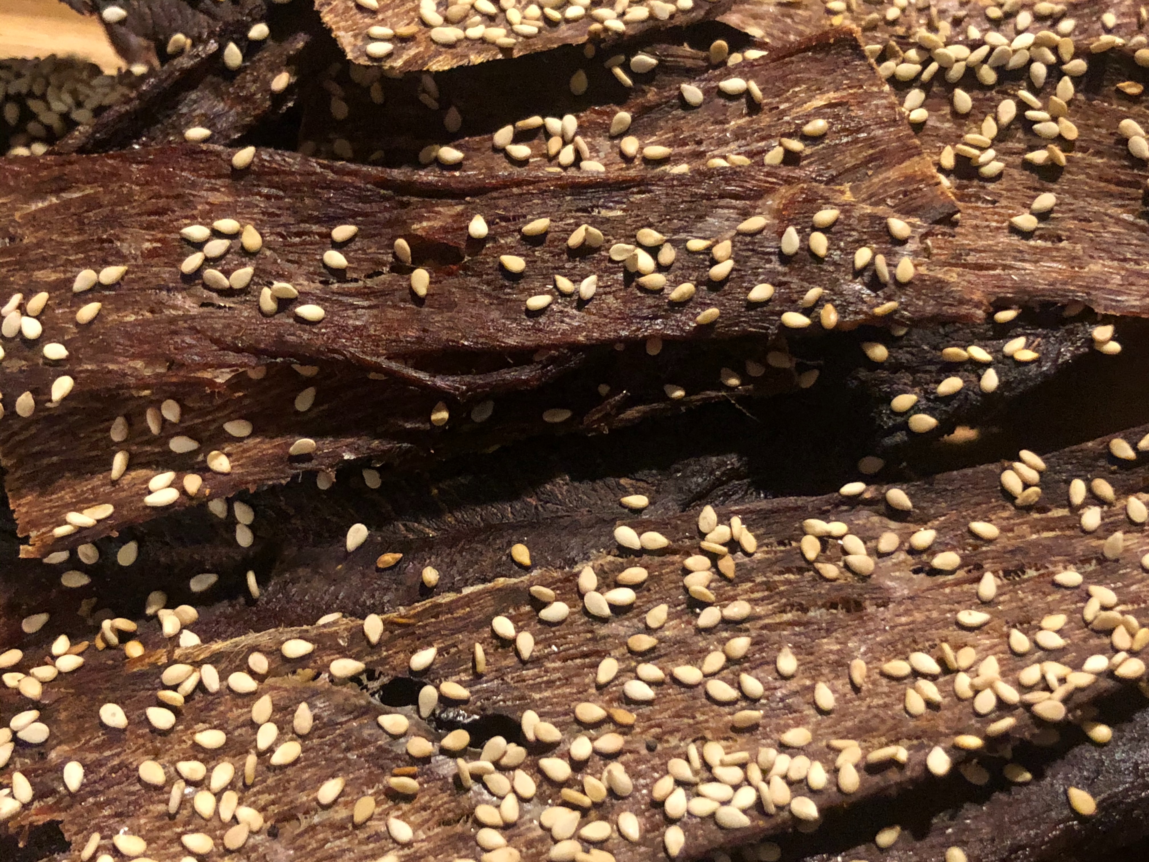 마른나무 흰개미