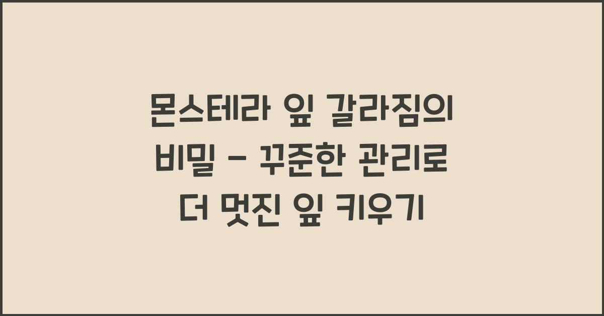 몬스테라 잎 갈라짐의 비밀 - 더 멋진 잎을 위한 환경 조성법
