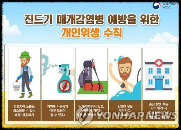가을철 진드기 감염병 주의보: 예방 방법과 대처 요령