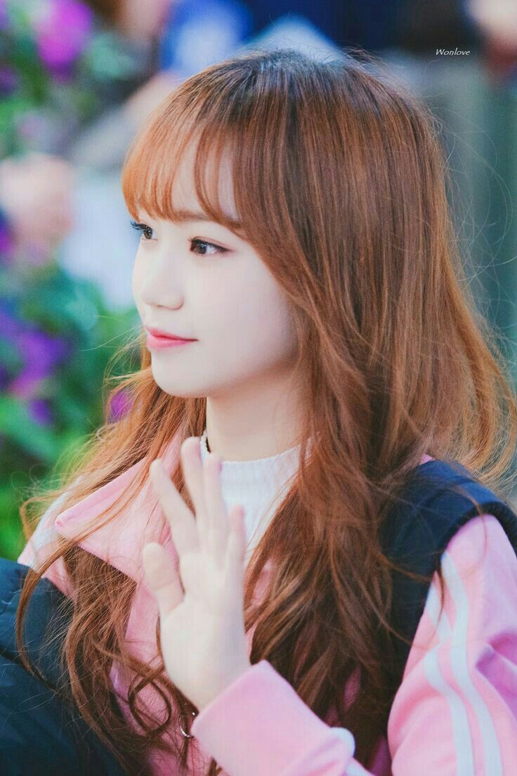 김채원 사진 모음