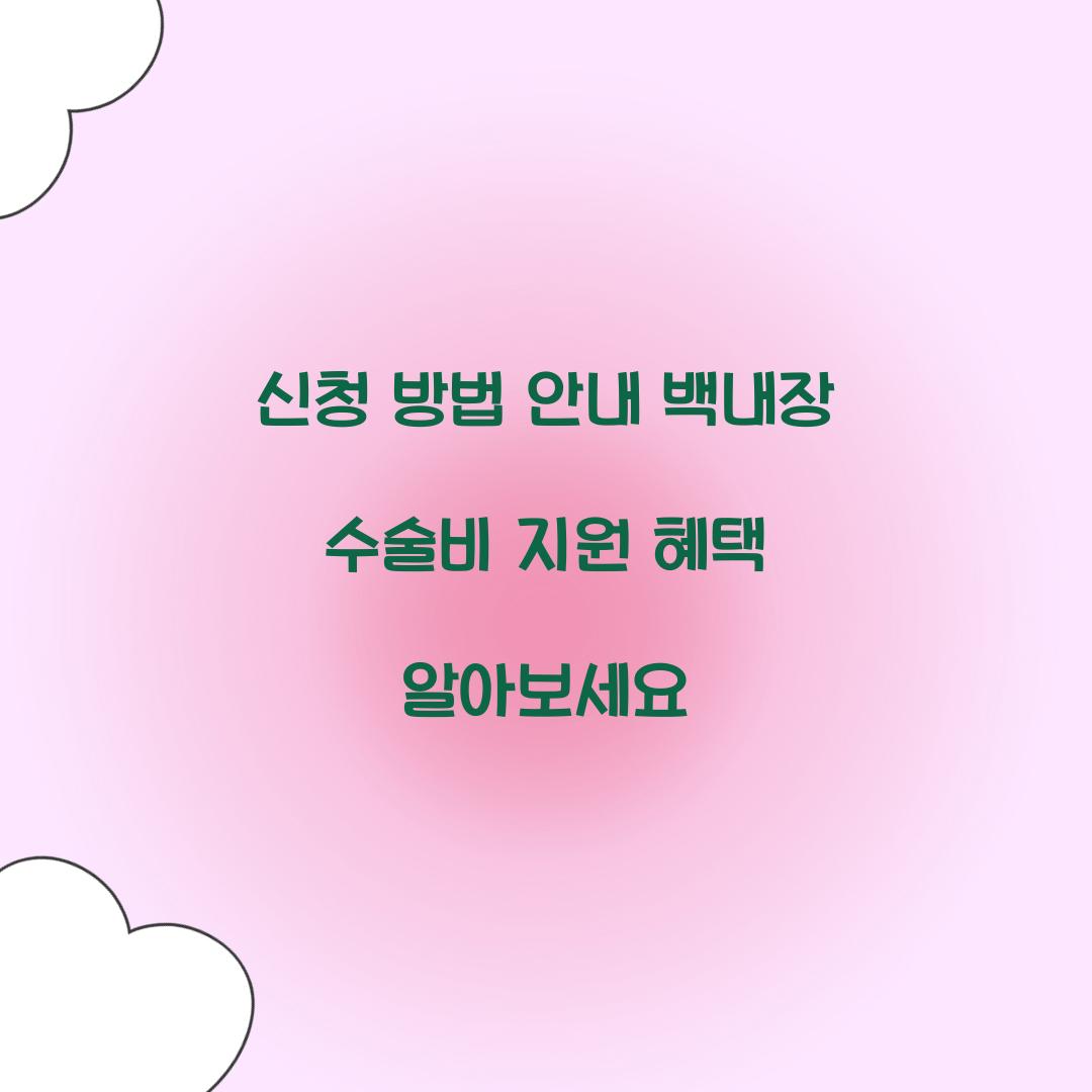 백내장 수술비 지원