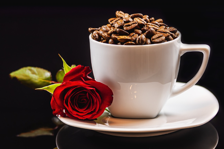 터키의 전통 커피