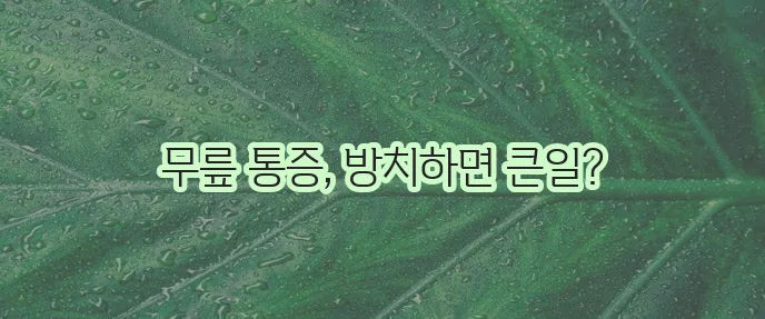 무릎 연골 손상 증상과 종류 원인 꼭 알아야 합니다