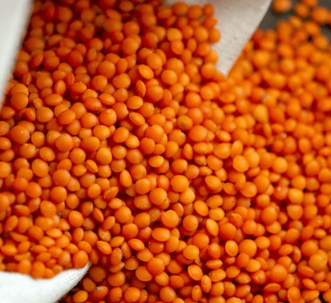 탈모에 좋은음식