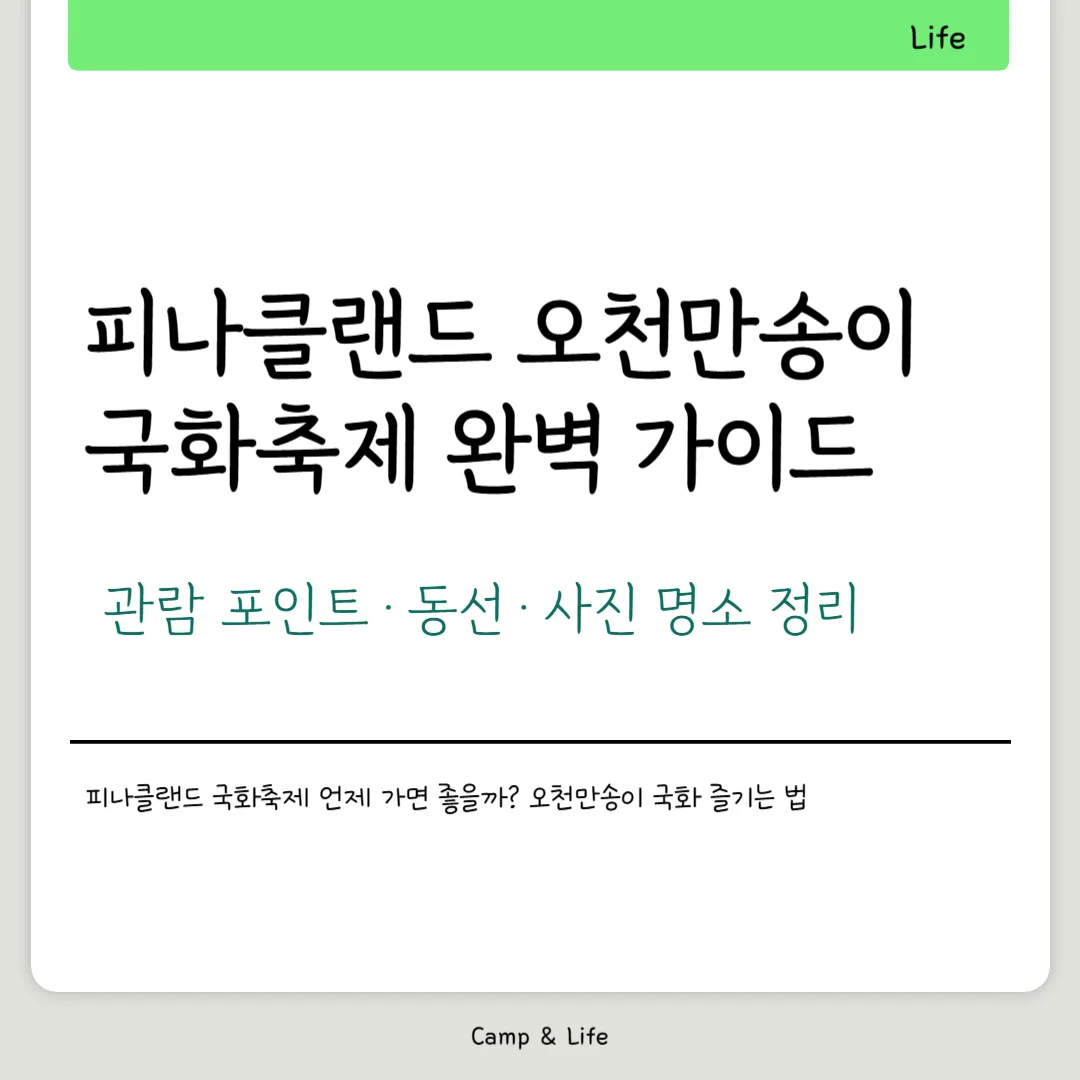 피나클랜드 오천만송이 국화축제