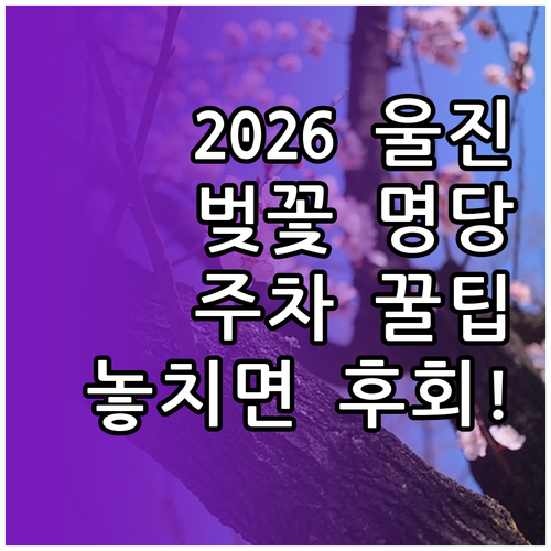 2026년 울진 벚꽃 만개 시점 및 ..