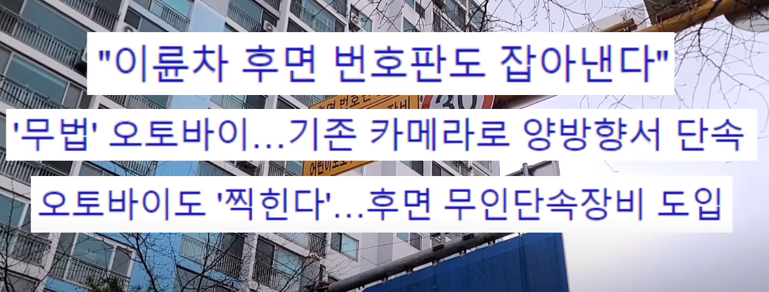 오토바이 단속