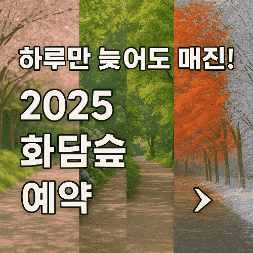 2025 화담숲 예약 놓치면 후회하는 완벽 가이드