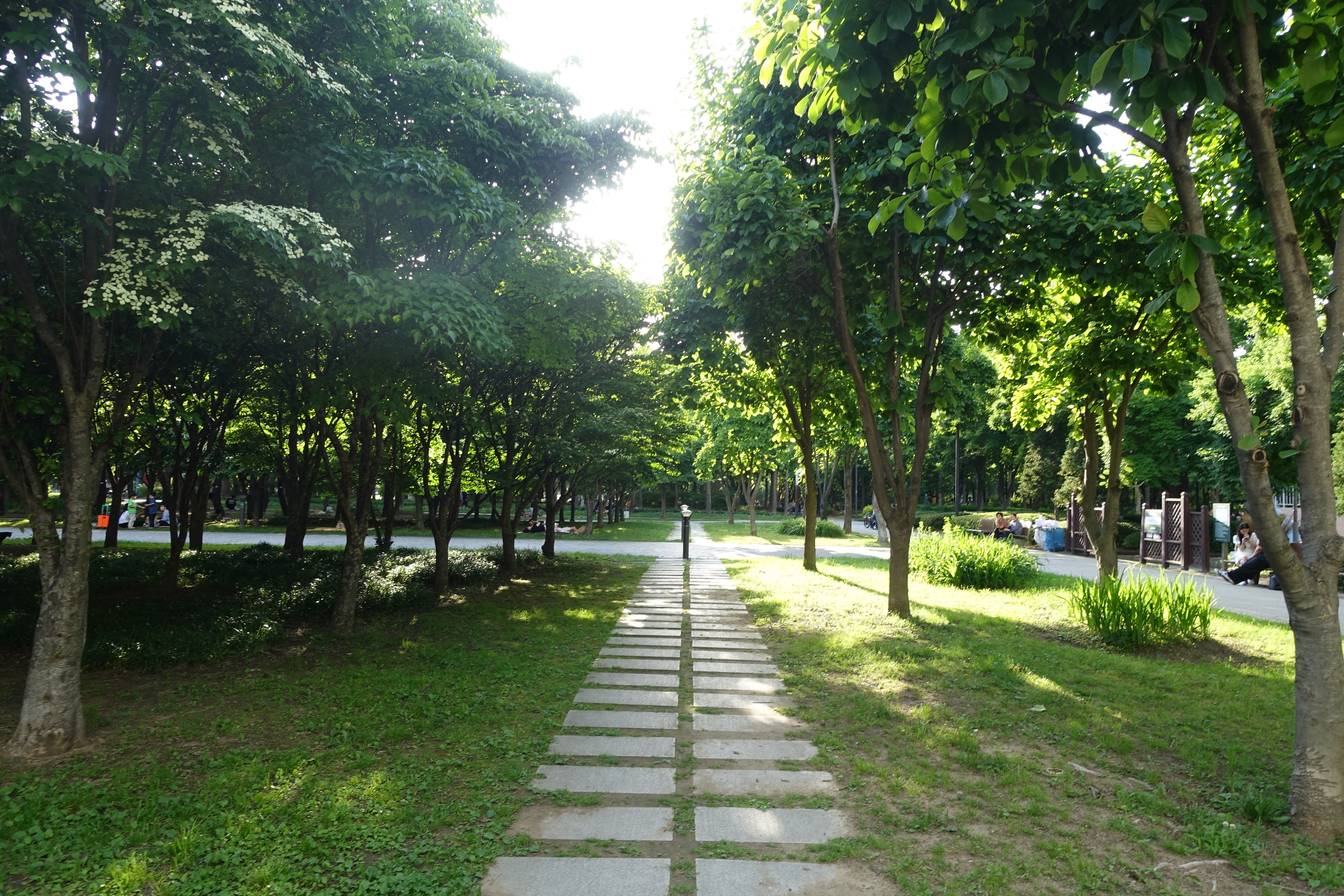 Alt 속성 문제 해결 설명 이미지