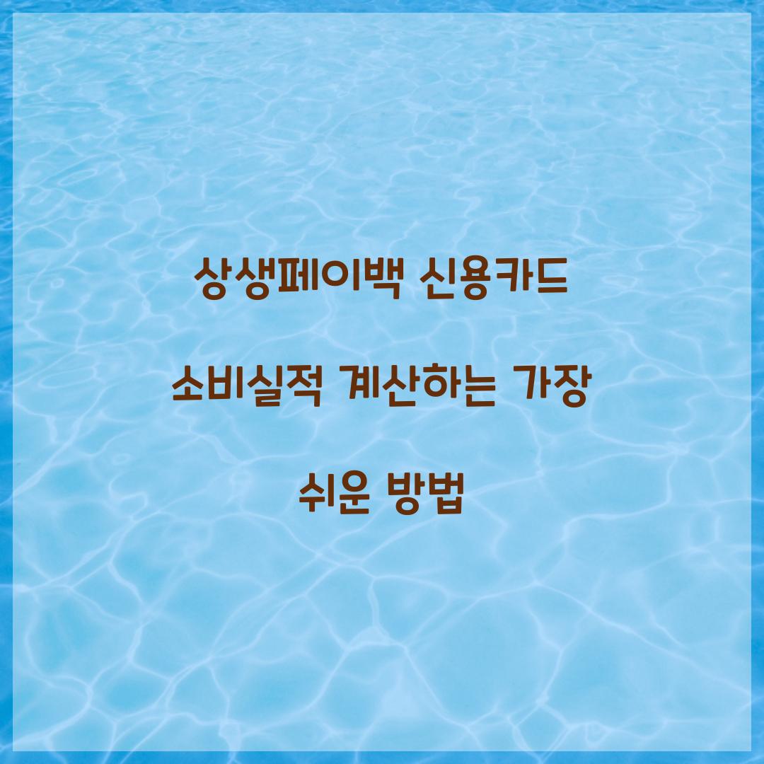 상생페이백 신용카드 소비실적 계산하는 가장 쉬운 방법