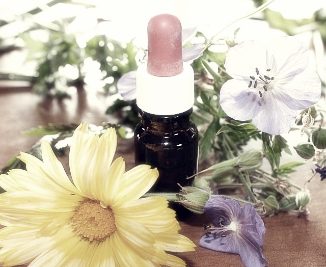 유한양행 주가분석