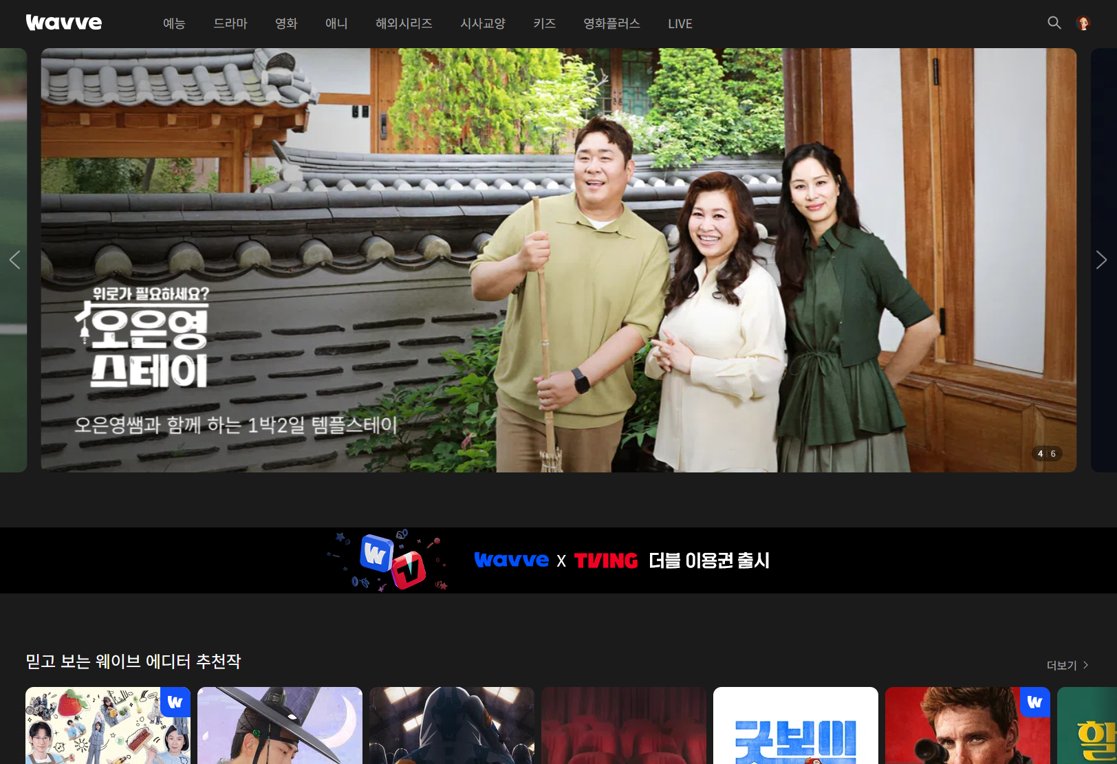 티빙&middot;웨이브 요금제
