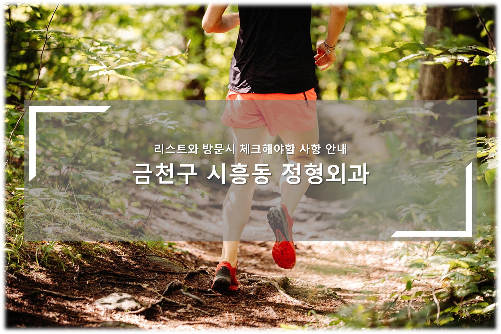 금천구 시흥동 정형외과 안내