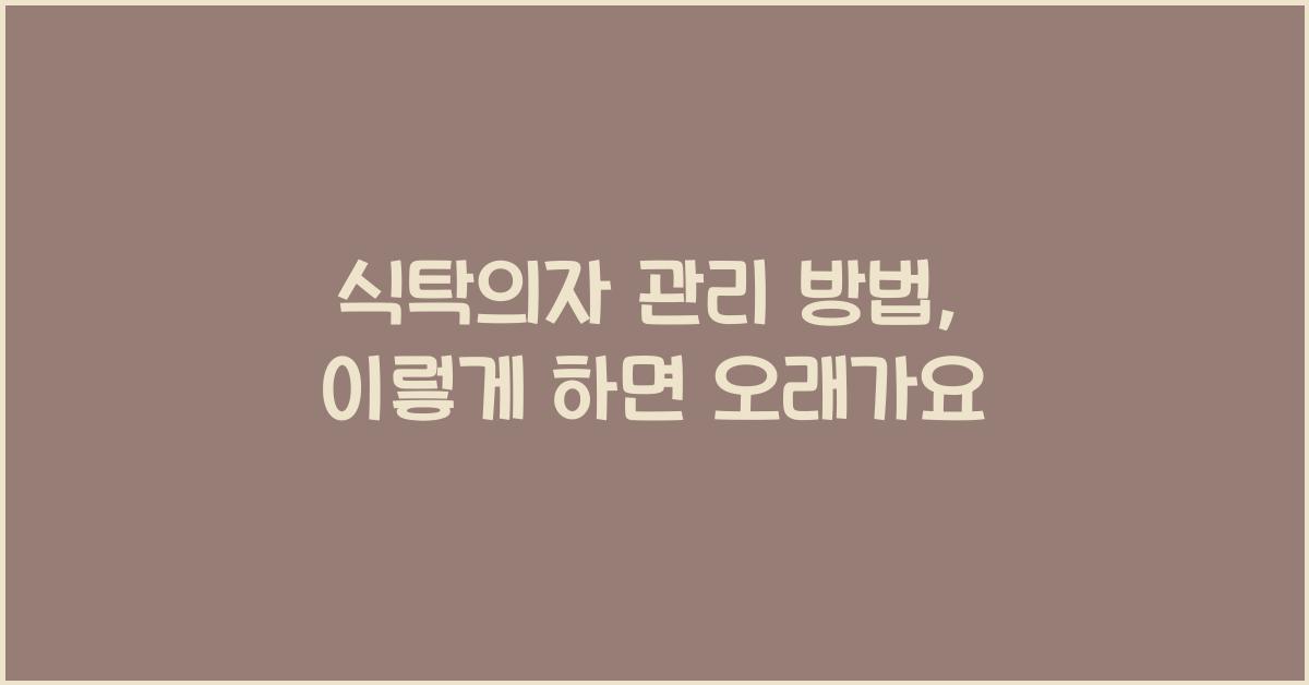 식탁의자 관리 방법