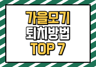 가을모기 퇴치방법 7가지를 알려드립니다.