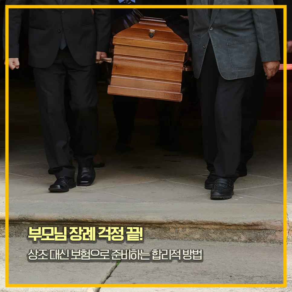 상조보험-고령자-가입-폐업리스크-없음