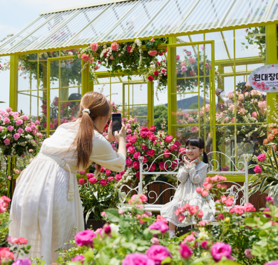 걷기 대회 특별 혜택 관련 사진