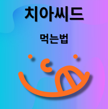 치아씨드 먹는법