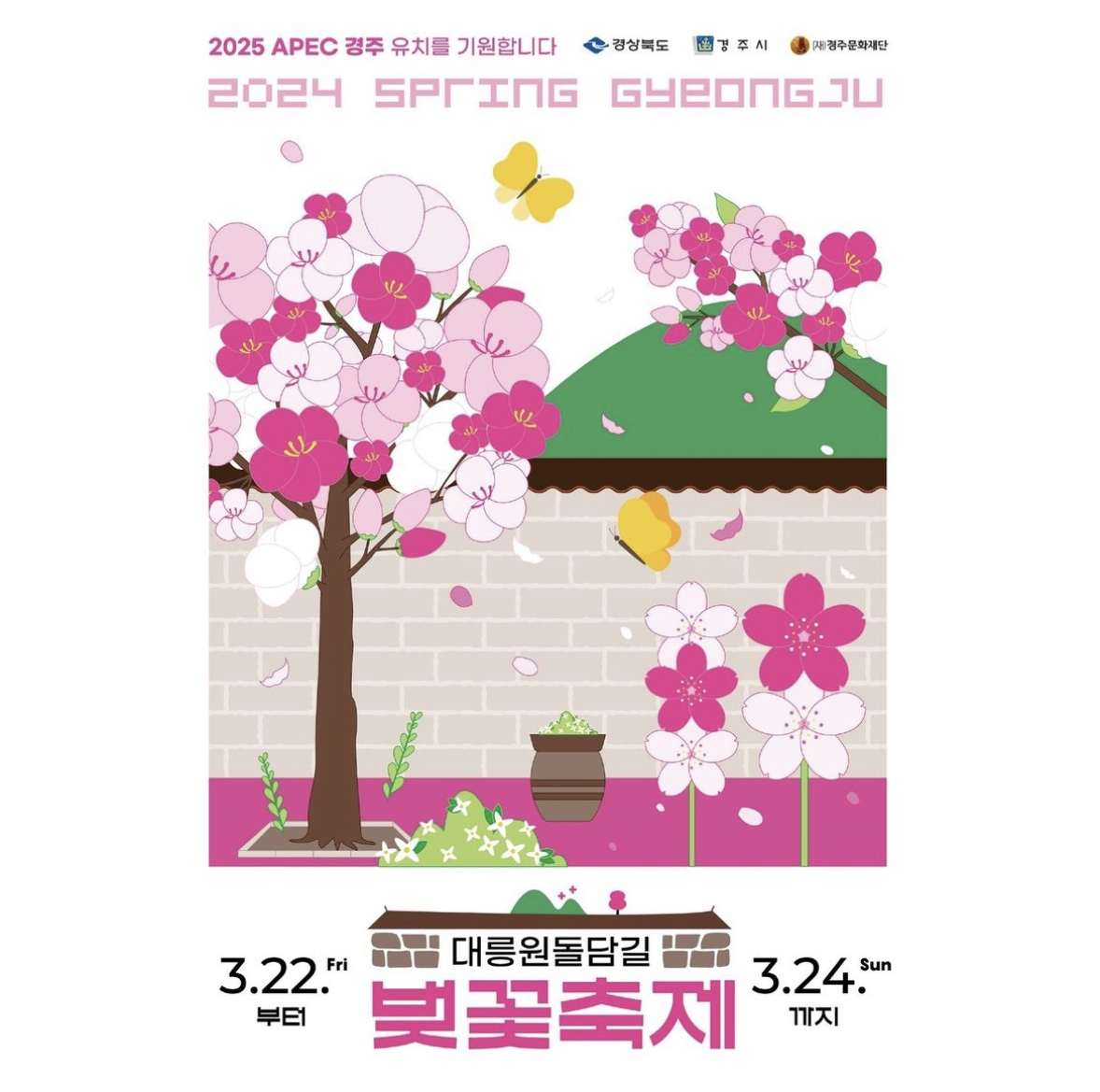 2024 경주 벚꽃 개화시기