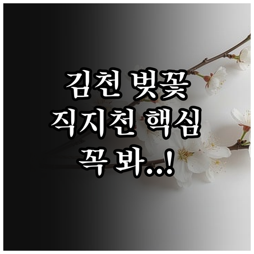 김천 벚꽃 축제 일정 및 직지천 강변..