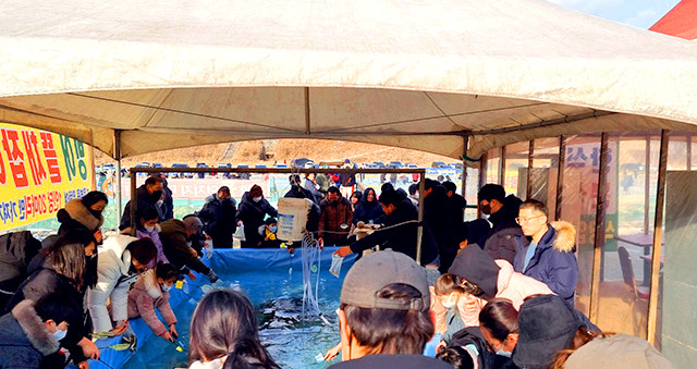 청평송어빙어축제