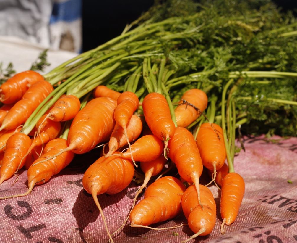 당근 카로틴혈증