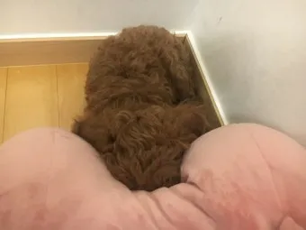 허리 보호 청소자세와 무릎 부담 줄이는 도구 추천_5