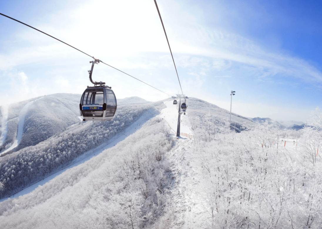 하이원-리조트-스키장