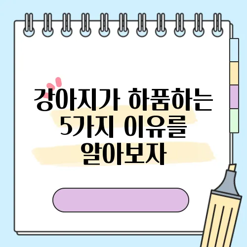 강아지가 하품하는 5가지 이유를 알아보자