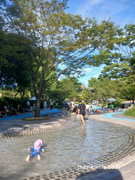 Toddlers playing in a shallow wading pool under trees at Children’s Grand Park/나무 그늘 아래 서울 어린이대공원 유아 물놀이장에 놀고 있는 아이들