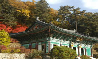 기차여행 단풍특선 추천